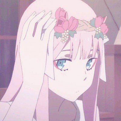 金鹰奖预测